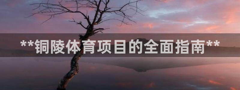 星欧娱乐属于什么档次