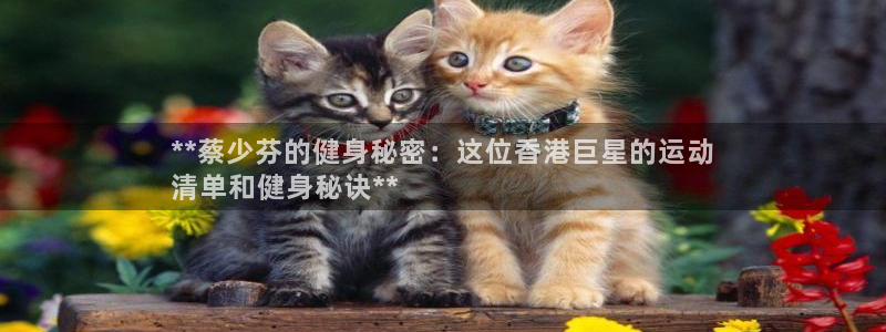 星欧娱乐的官方版本更新内容