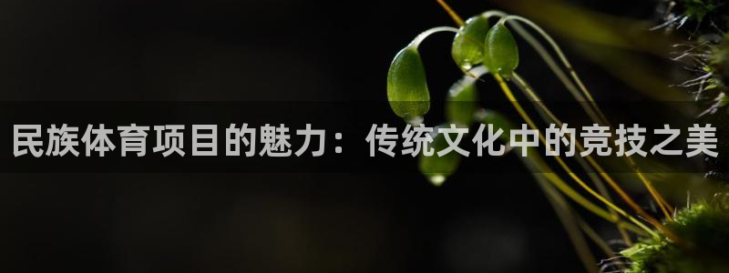 星欧娱乐的官方版本更新内容