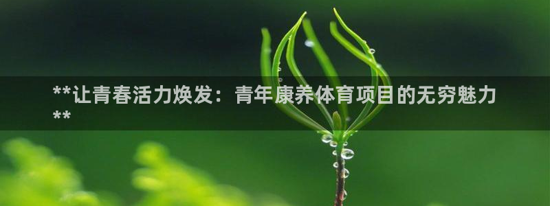 新星娱乐怎么开挂