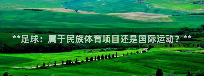 星欧娱乐属于什么档次的公司啊