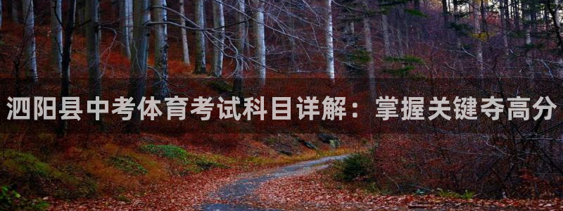 星欧娱乐扣款流程详解图