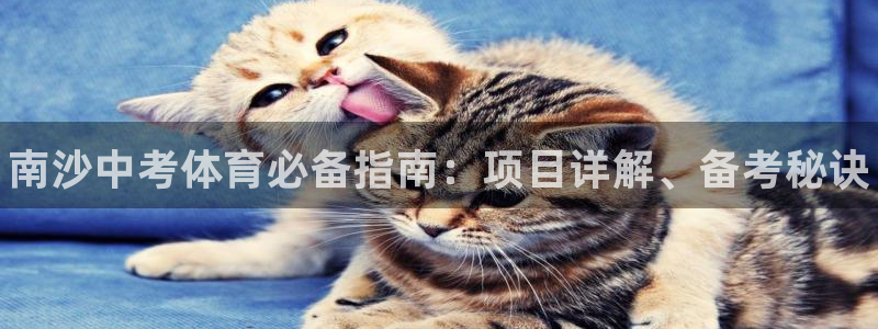 星欧娱乐扣款流程详解视频下载