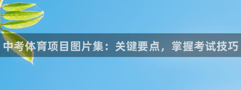 星欧娱乐挂机赚钱