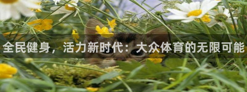 星欧娱乐最建议买的三个产品是什么意思