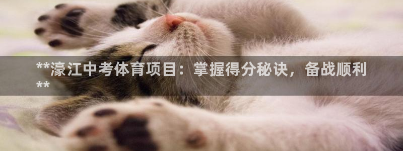 星欧娱乐属于什么档次的公司