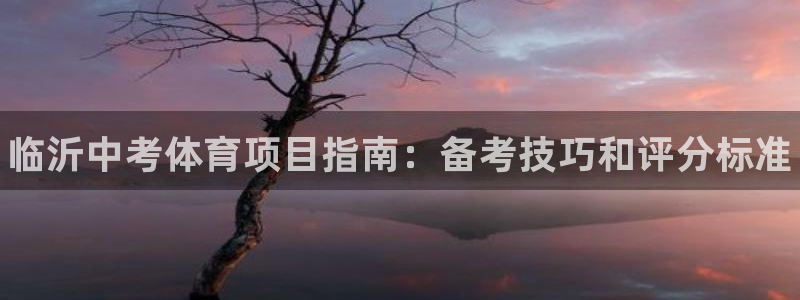 星欧娱乐属于什么档次的软件啊