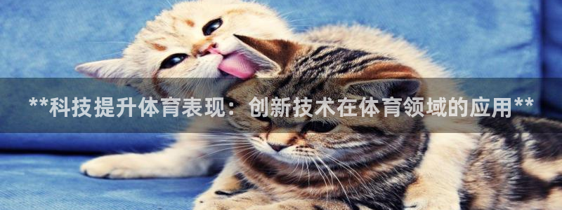 江苏星奥娱乐招艺人