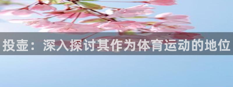 星欧娱乐联售后服务评价