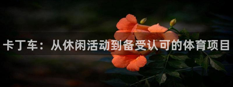 星欧娱乐联4.8.5.6.2.4.3下载