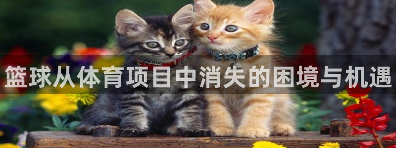 星欧娱乐联和哪个品牌合作