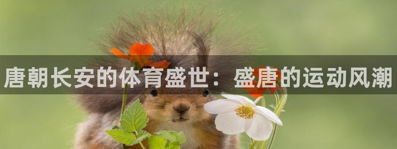 星欧娱乐平台测速线路设置