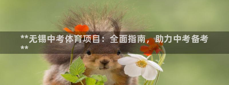 星欧娱乐扣款流程详解图高清